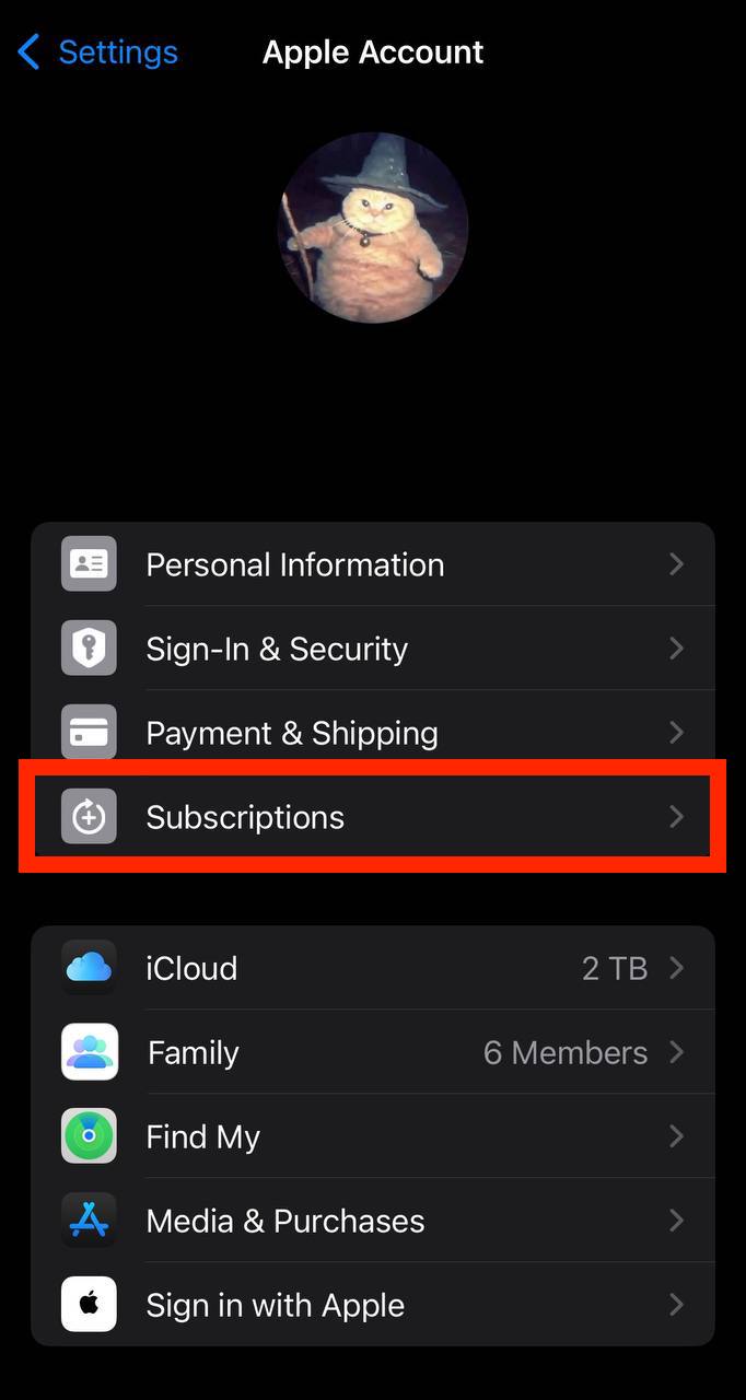 Apple Account on iPhone