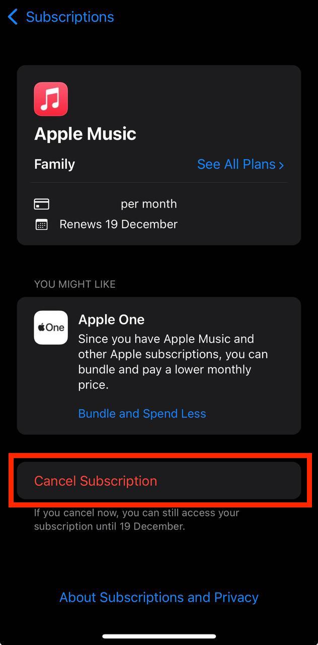 Subscription screen on iPhone