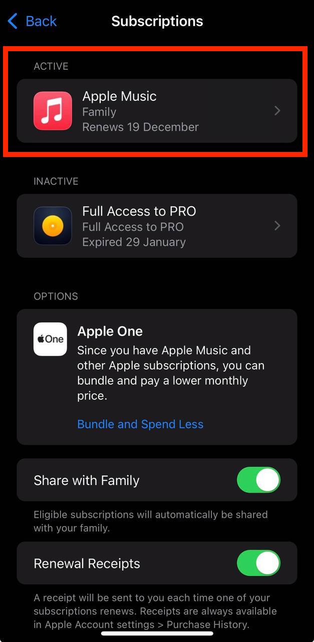 Apple Account subscriptions on iPhone